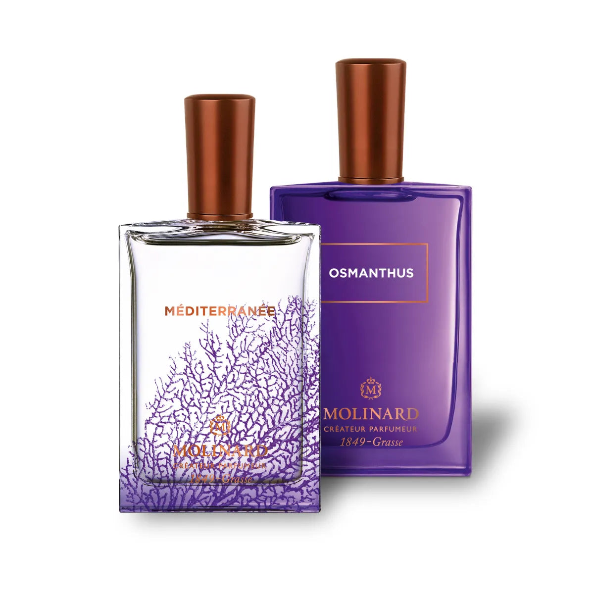 Combo Osmanthus et Méditerranée
