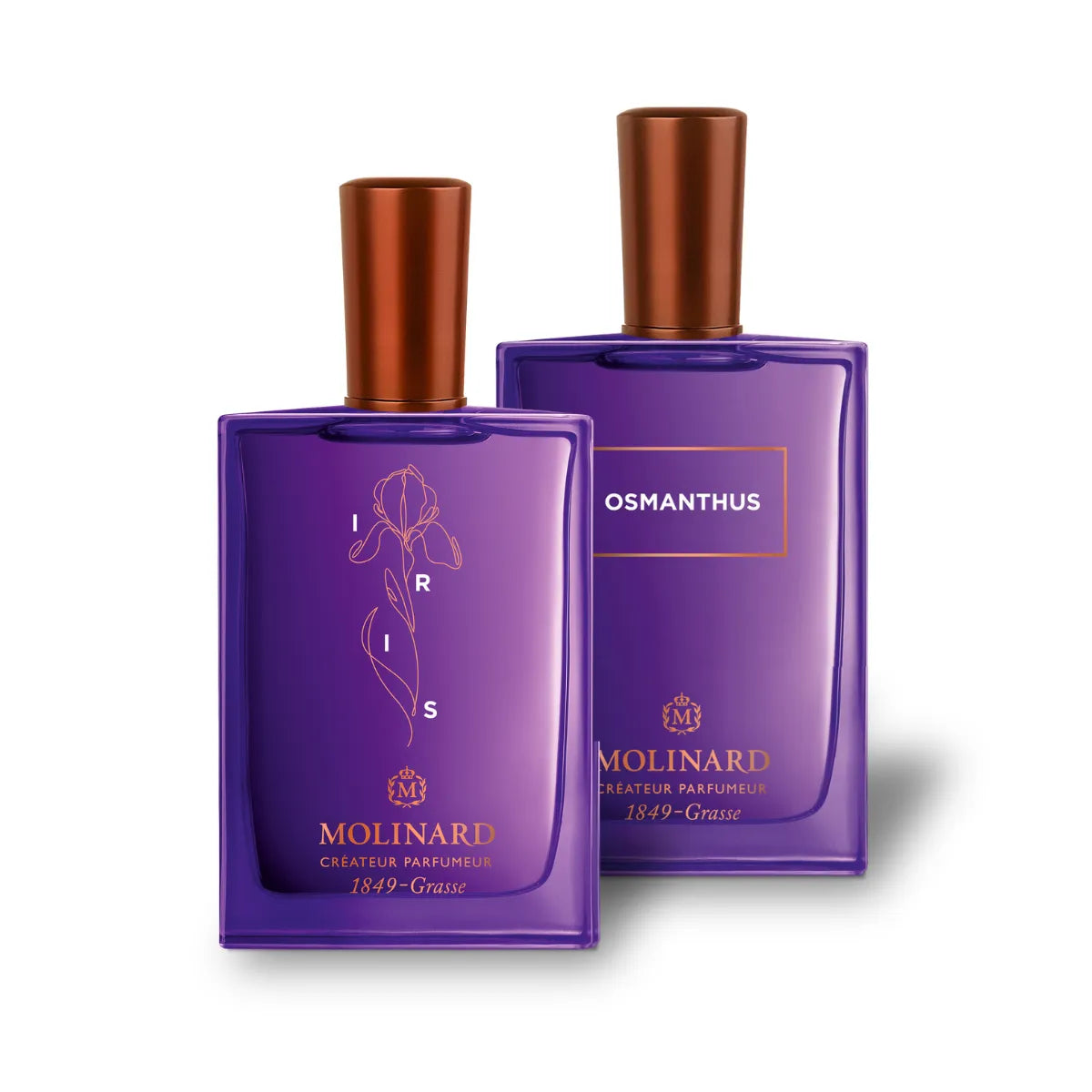 Combo Osmanthus et Iris