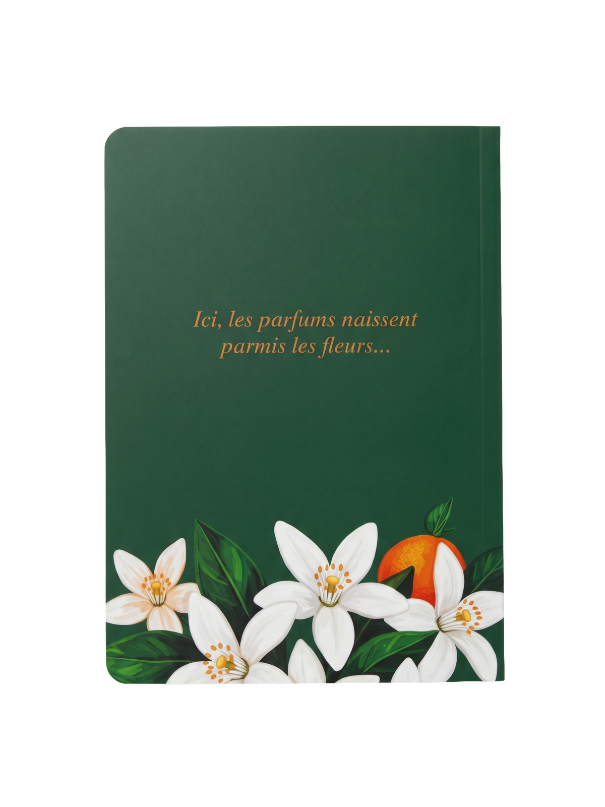 Carnet - Fleur d'Oranger