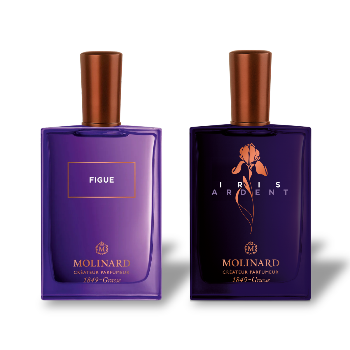 Combo Figue et Iris Ardent