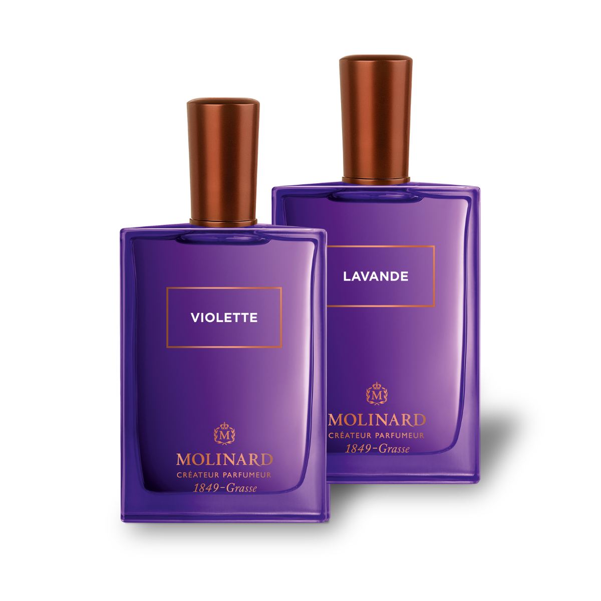 Combo Lavande et Violette