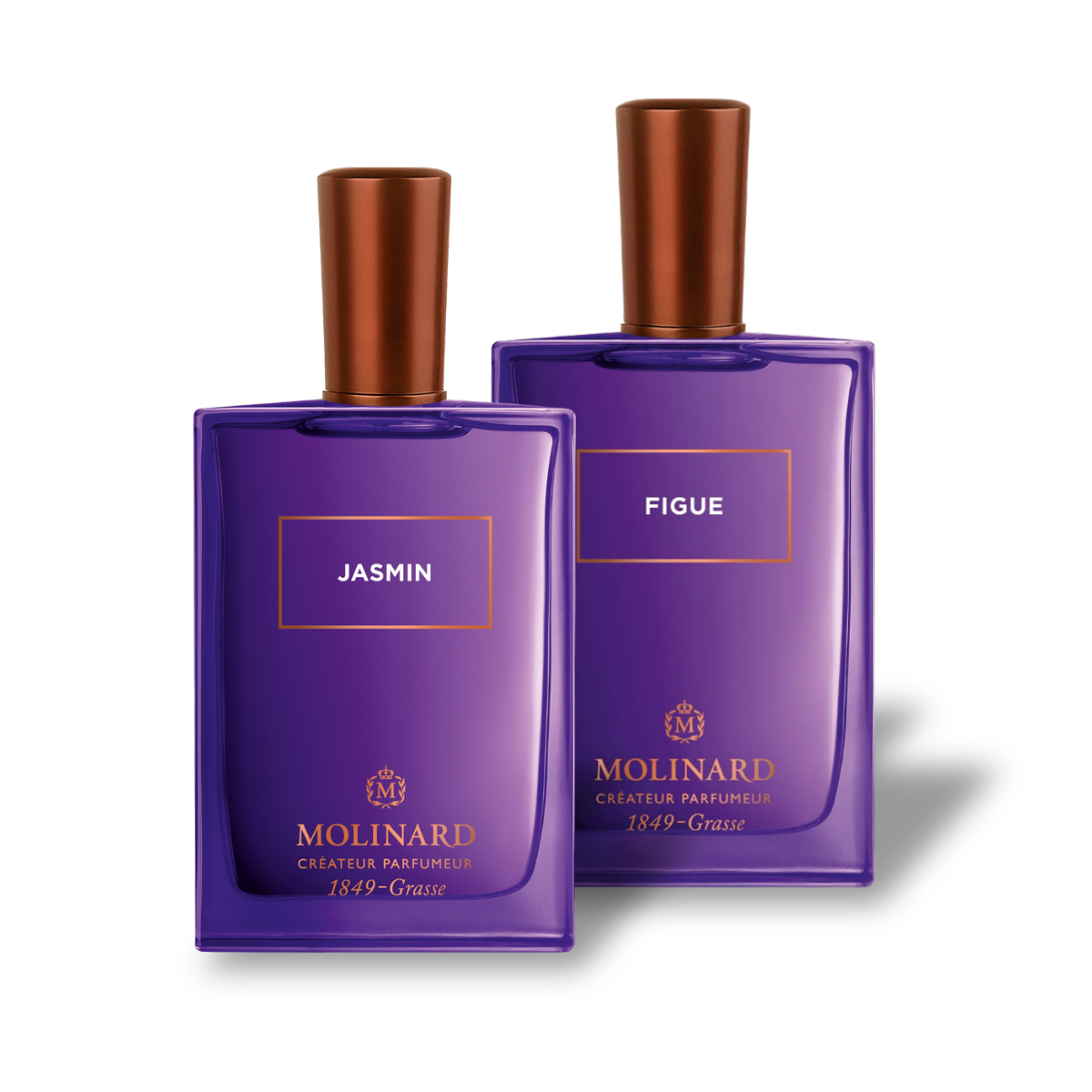 Combo Jasmin et Figue