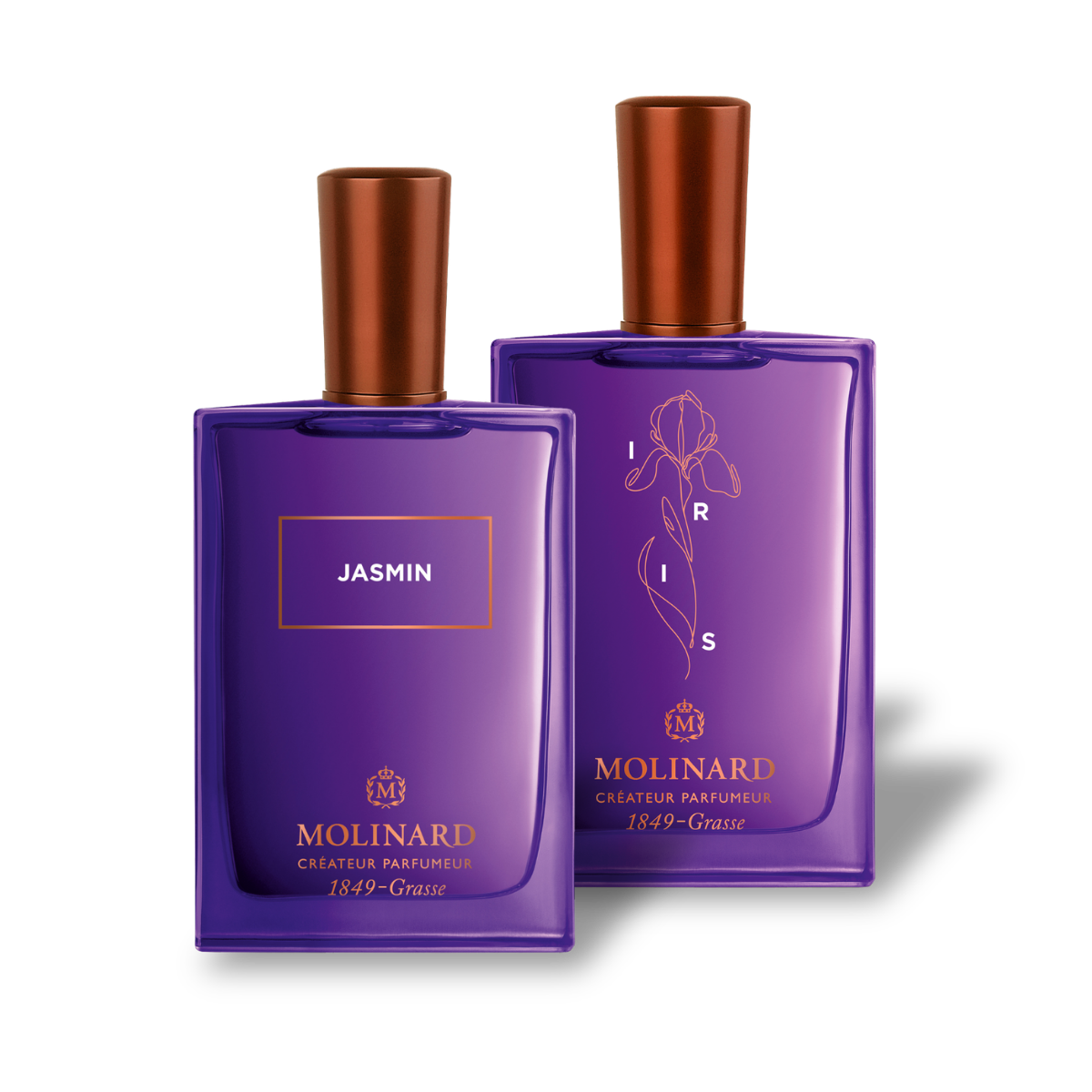 Combo Jasmin et Iris