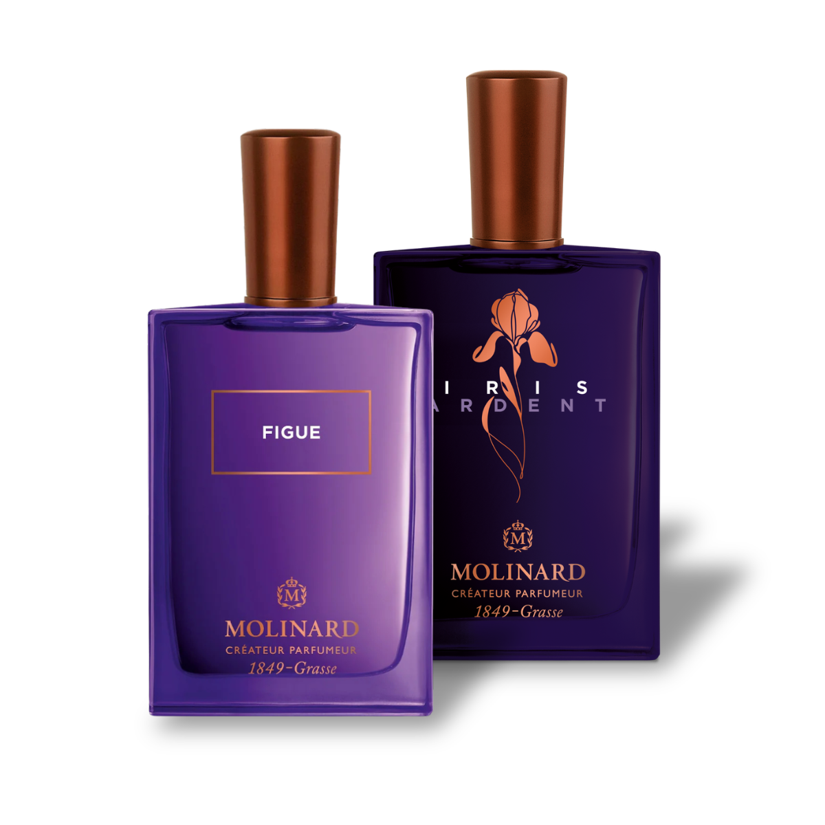 Combo Figue et Iris Ardent