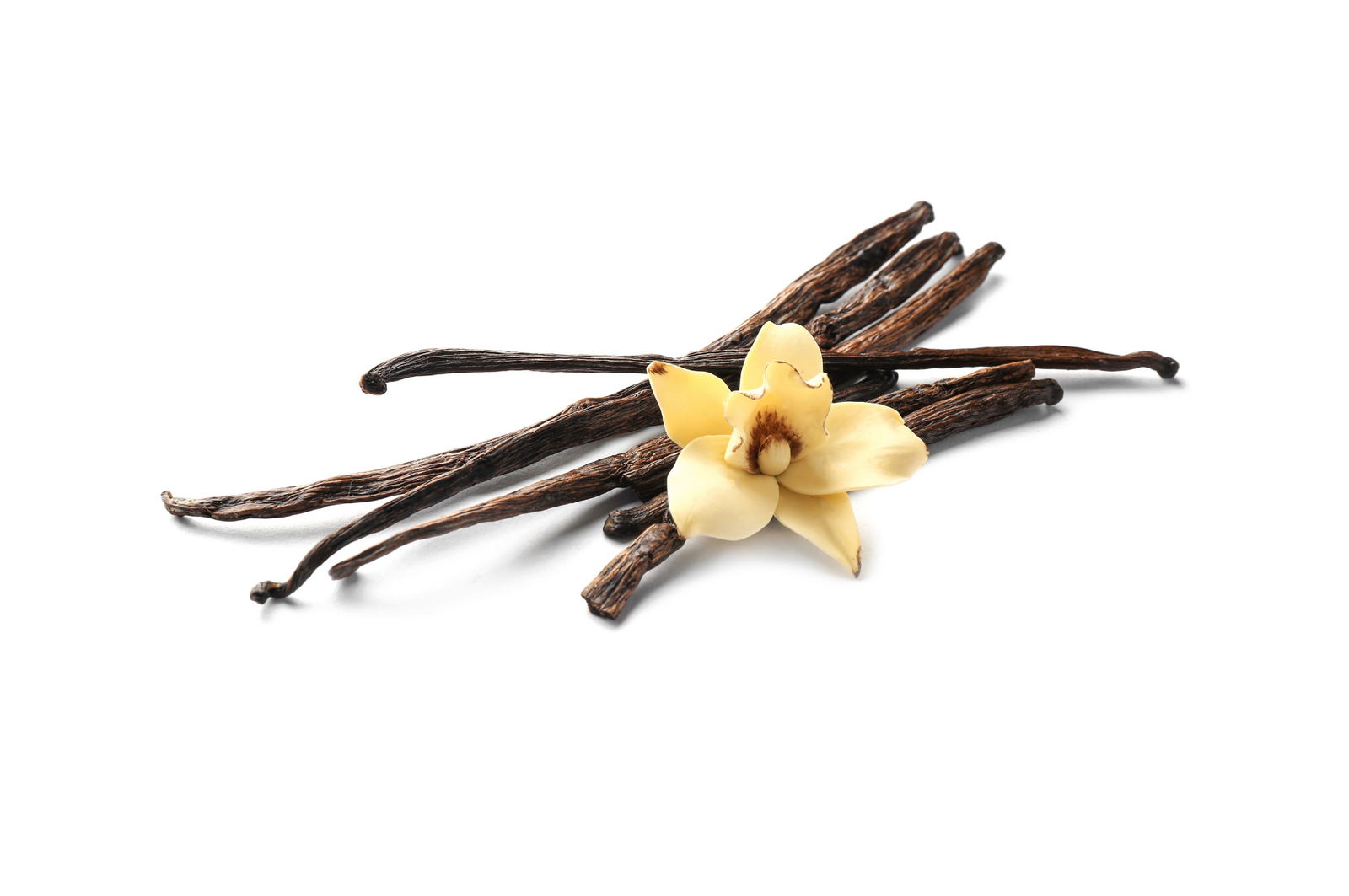 Vanille fruitee discount